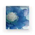 しばさおり jasmine mascotの青い花 Acrylic Block