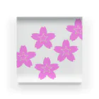 KOKI MIOTOMEの星桜紋（流れ星ピンク）　Star cherry blossom Crest (Shooting star pink）) Acrylic Block