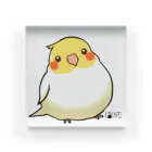 *KAKAPO*の*KAKAPO*のふんわりオカメインコちゃん(るちの) Acrylic Block