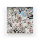 3A5のcherryblossoms3_aR Acrylic Block