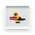 コガネメキシコ　ちょんまさん　chonmaのChonma  Acrylic Block