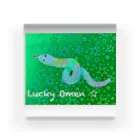 broccoli3の白蛇　🌟　lucky omen Acrylic Block