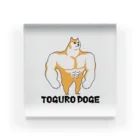 FTOYAMAの戸愚呂doge BIG Acrylic Block