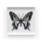 Alba spinaの揚羽蝶 アクリルブロック