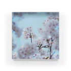 KOUTA TANIGUCHIのsakura2 Acrylic Block