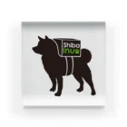グラフィンのシーバーイーヌ 柴犬 大きいロゴ  アクリルブロック