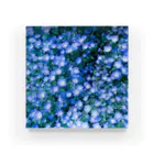 さくらいろのうさぎのnemophila アクリルブロック