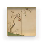 HOKO-ANの酒井抱一筆　柿図屏風 Acrylic Block