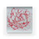 ピッチーの芍薬 peony Acrylic Block