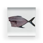 ビるばの捌いた魚 Acrylic Block