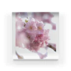 unxgraphyのSAKURA 1 Acrylic Block