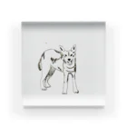 Mariekobayashiのオオカミかな犬かな アクリルブロック