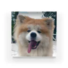 mofuakitaのBIG SMILE AKITA Acrylic Block