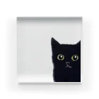 WAMI ARTの窓の黒猫 Acrylic Block