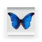 Darkness and individualityのMorpho アクリルブロック
