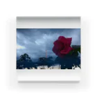 halo arts (はろあーつ)🌈中村大当たり🎯の曇り空に咲く Acrylic Block