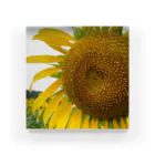 LUVrz factory のSunflower  Acrylic Block