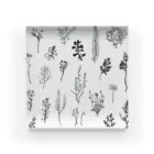 fujiiikukoのPLANTS Acrylic Block