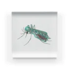 Canvasのラムネ蚊 Acrylic Block