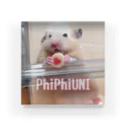 うに🐹きんくまのPhiPhiUNI アクリルブロック