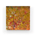 樂の紅葉狩 Acrylic Block