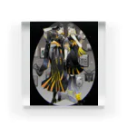 紫灯座のハロウィンコーデ Acrylic Block