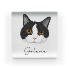 みきぞーん｜保護猫 ミッキー画伯と肉球とおともだちのjolene アクリルブロック