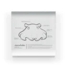 めんだ子のめんだこさん解体新書 Acrylic Block