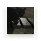 neko_00_nekoの黒猫さん アクリルブロック