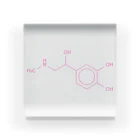 分子構造のアドレナリンの分子構造 アクリルブロック