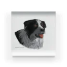 Chroma LaboのSmart Collie Dog Acrylic Block