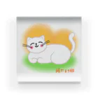 ウチのMEIGENやさんの陽だまり猫 Acrylic Block