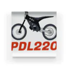 PEDALNIAのPDL220 アクリルブロック