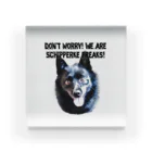 Doggie FreaksのSchipperke Freaks Acrylic Block