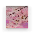 日本画家 加藤 由利子の桜の舞曲② アクリルブロック