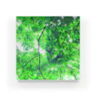 fée de la roseのVert frais Acrylic Block