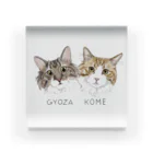 みきぞーん｜保護猫 ミッキー画伯と肉球とおともだちのgyoza&kome Acrylic Block