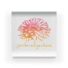 gerberasgerberaのgerberasgerbera アクリルブロック