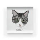 みきぞーん｜保護猫 ミッキー画伯と肉球とおともだちのchah アクリルブロック