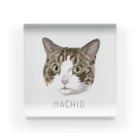 みきぞーん｜保護猫 ミッキー画伯と肉球とおともだちのhachio Acrylic Block