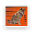 柴犬しばわんこhana873の柴犬参上！(しばいぬさんじょう！) アクリルブロック