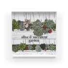 Olive&SucculentGardenのOlive&SucculentGarden公式グッズ アクリルブロック