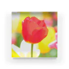 HAPPY TULIPのHAPPY TULIP 赤 Acrylic Block