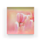 HAPPY TULIPのTULIP PINK Acrylic Block