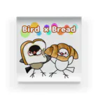 Lily bird（リリーバード）のパンの着ぐるみ文鳥ず Acrylic Block