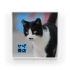 Cats Digital Marketing 【ひげ商店 石垣島】のアクリルブロック Acrylic Block