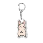 maruruのうさぎ　ネザーランドドワーフ Acrylic Key Chain