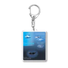 L_arctoaのイルカとクジラの違い Acrylic Key Chain