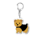 TOMOS-dogのnorfolkterrier（ブラタン） Acrylic Key Chain