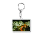 SSKのbokeh Acrylic Key Chain